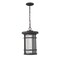 Z-Lite Jordan 1 Light Outdoor Chain Mount Ceiling Fixture, Oil Rubbed Bronze And Clear Seedy 570CHB-ORB - alternate 2